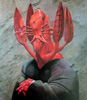 Elytracephalid