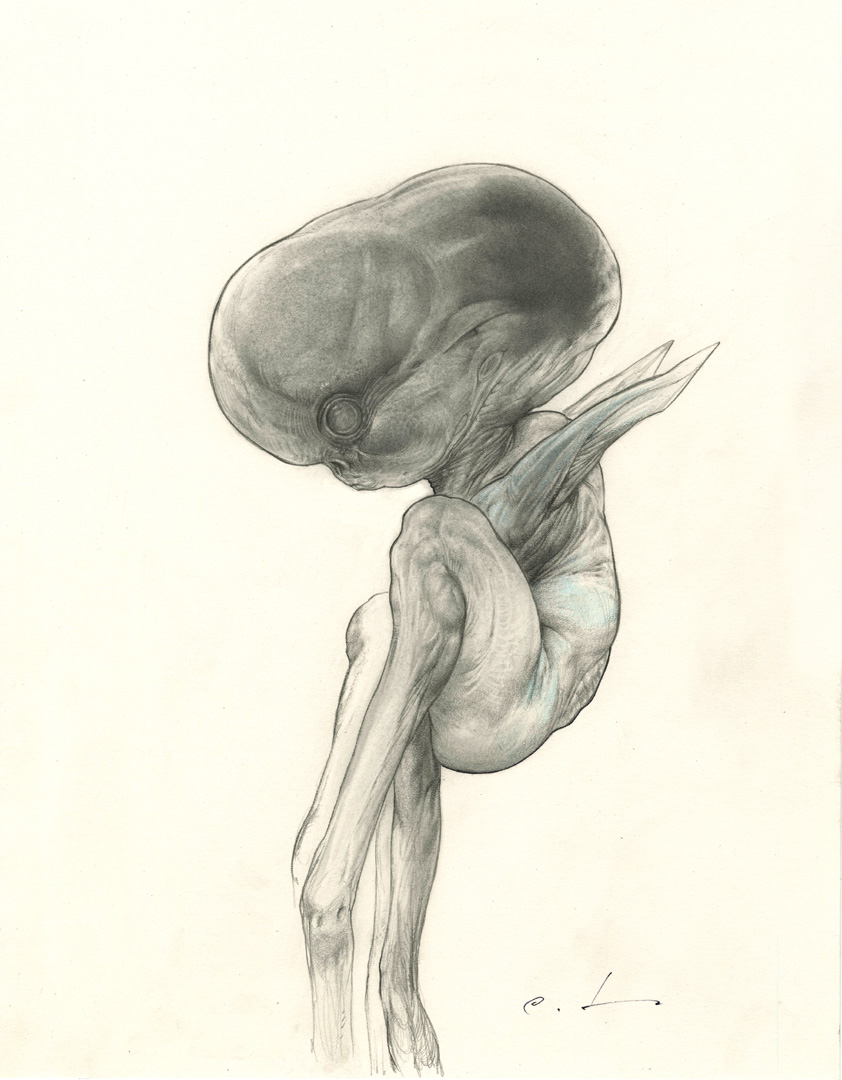 CARLOS HUANTE:  'Beluga'Embryo' drawing